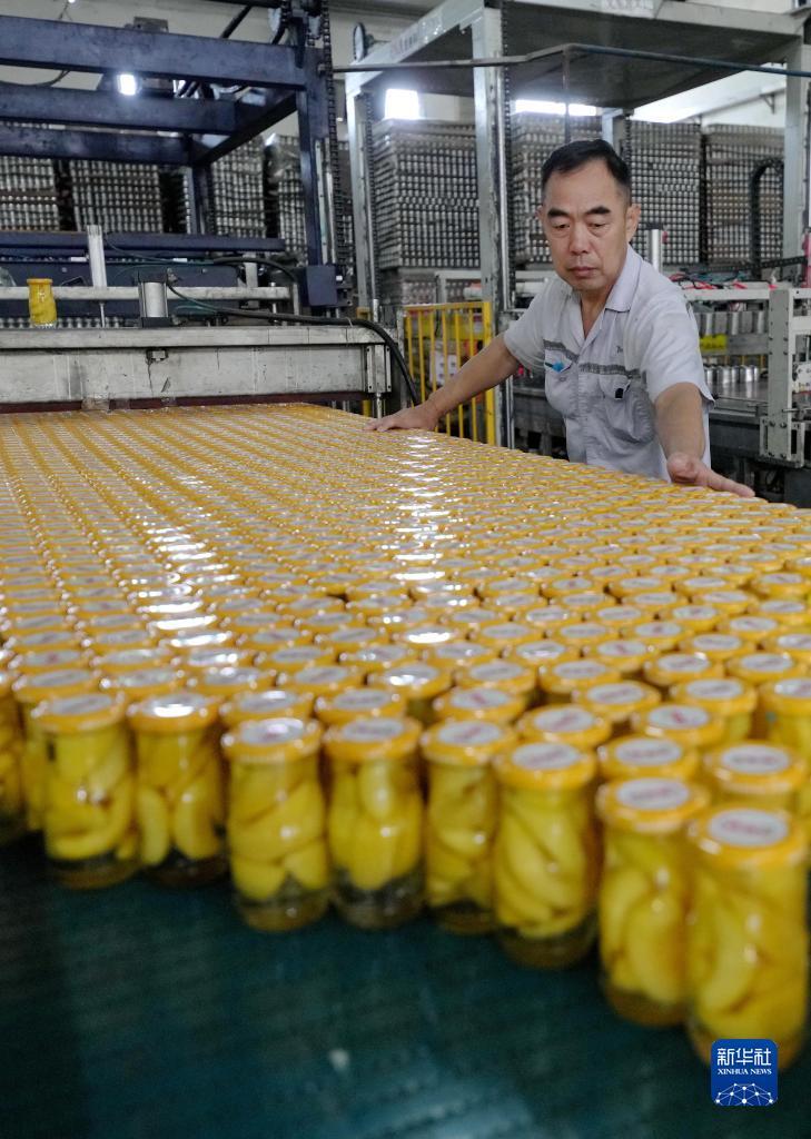 开户注册平台